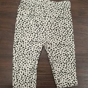 4/$15 Girls Leopard Tights